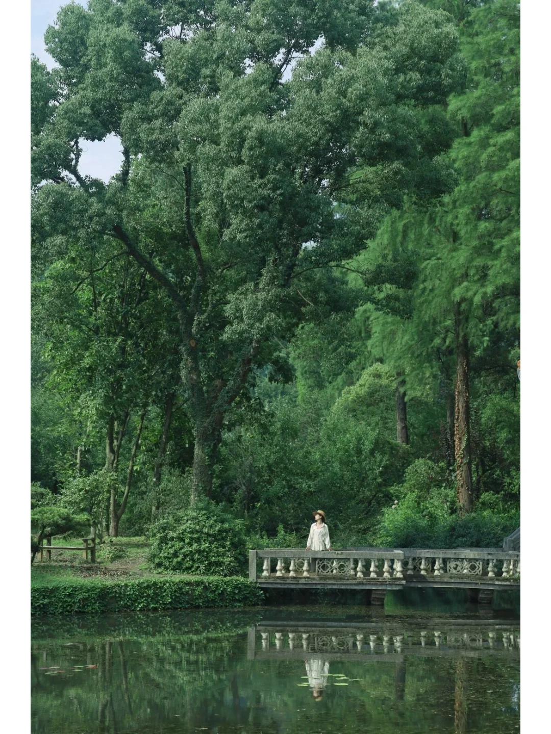 超治愈❗️我在武汉找到了现实版绿野仙踪