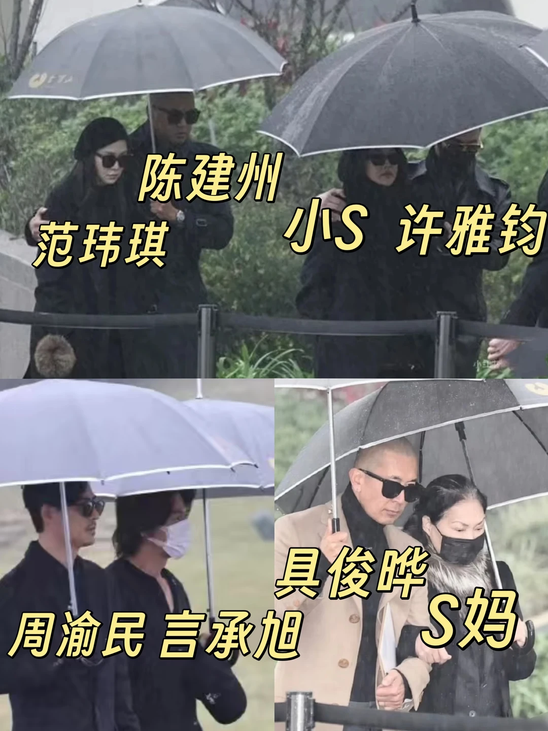 大S去世一周年❗亲朋好友都来看她了😭