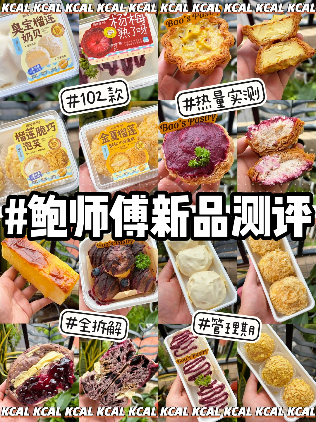 鲍师傅热量测评‼️又又又上新了🔥全系列拆解