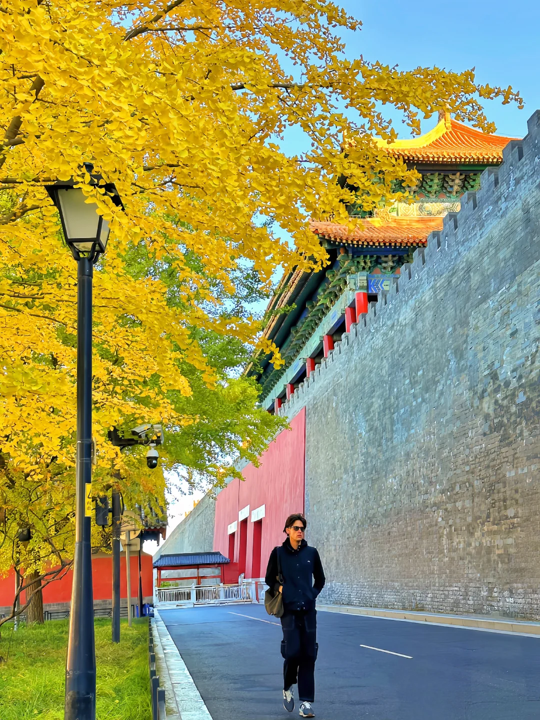 10.26实况❗️北京故宫角楼银杏美疯了~🍂看哭了……