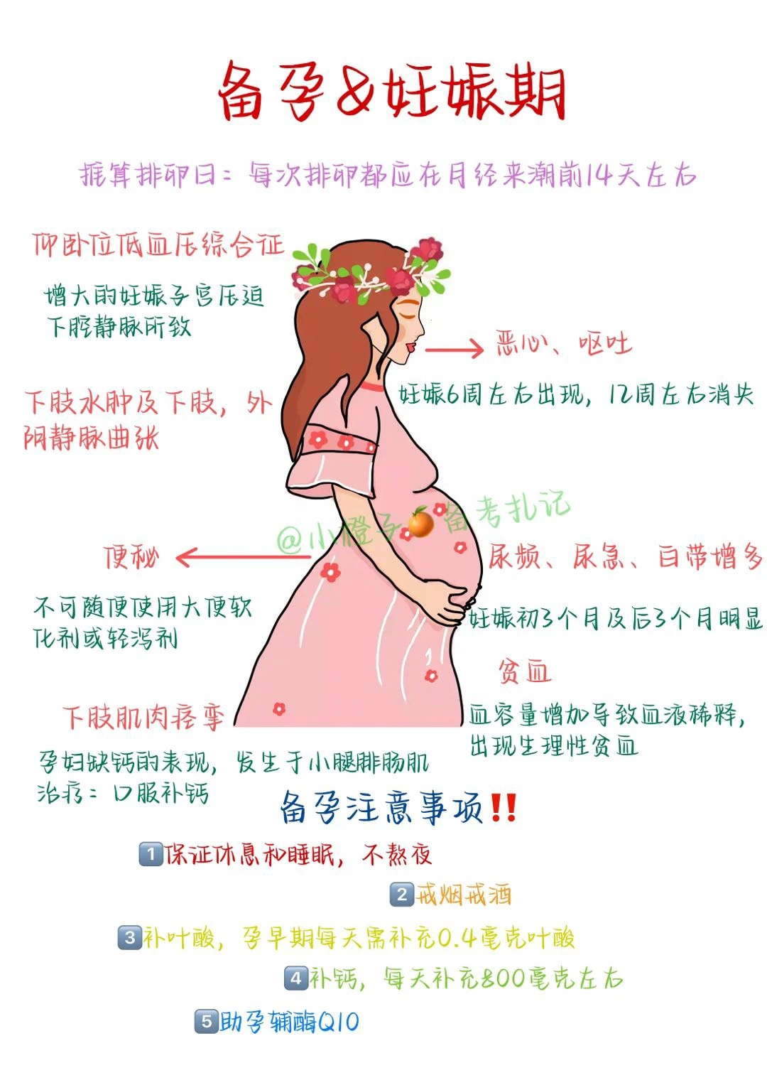 📖护师笔记｜妇产科｜妊娠&备孕🤰