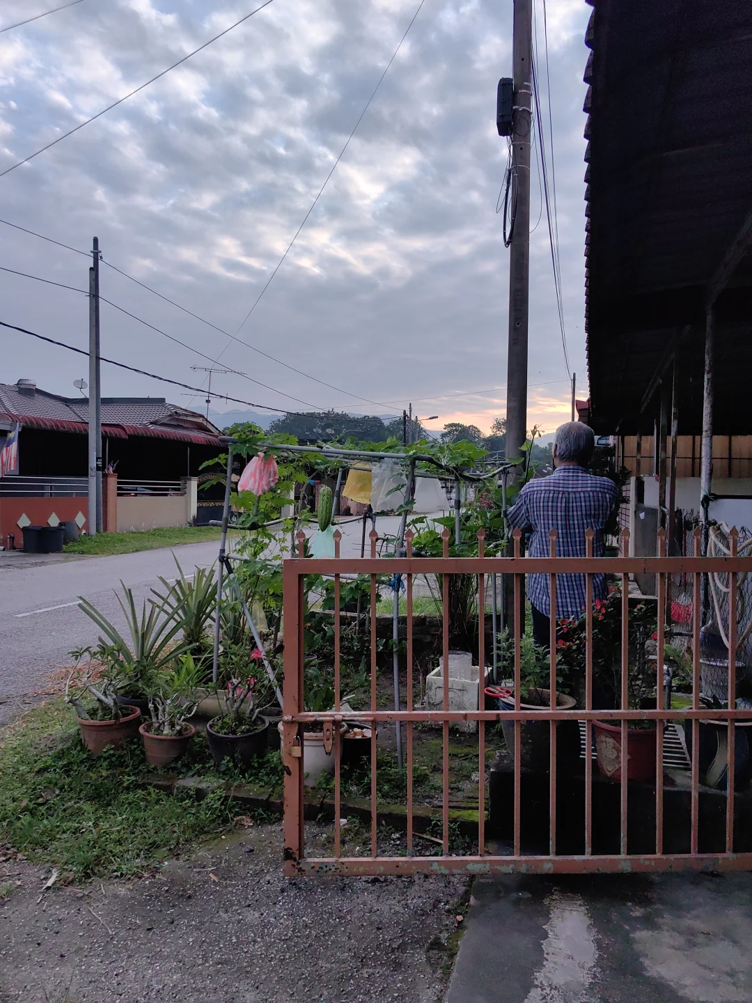 关于我这半个月停更的原因