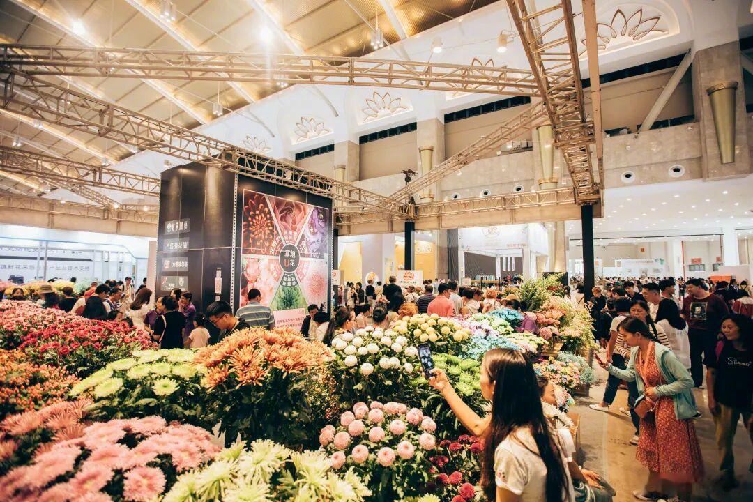 第二十四届昆明国际花卉展以“‘象’往云南 世界花园”为主题，首次设荷兰、哥伦比亚为双主宾国（分领花卉与咖啡板块），山东为花卉主宾省。展会规模8万平方米，8馆联动，800余家企业参展，覆盖21国；同期举办28场配套活动。聚焦三大重点：硬核种业——展示云南自育月季等新品种，开展评选赛与植物新品 ​