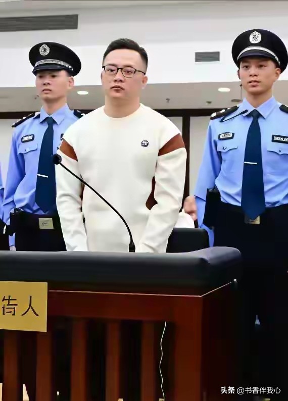 2026年10月13日，缅北魏家电诈集团核心骨干廖景芳一审宣判死刑，多项重罪叠加、残害两名中国同胞、涉案百亿，靠着同胞血泪暴富的他，终于迎来终极报应。
 
出身湖南宁乡普通农村家庭的廖景芳，是典型的留守儿童。父母常年在外务工，他从小跟随爷爷奶奶生活，老人缺乏教育理念，一味溺爱纵容，让他从小养成暴戾、
