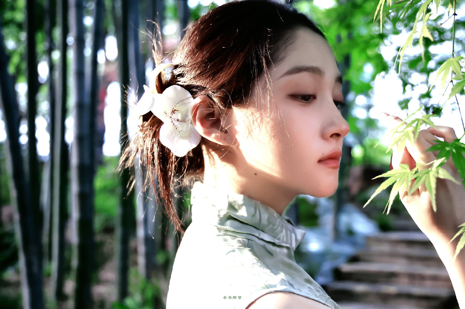 关晓彤 ▪ 绿竹猗猗🎋

- #关晓彤新剧鸟屎炸鸡该怎么吃# 
- #超带感闪光图鉴#｜#超话创作官# ​