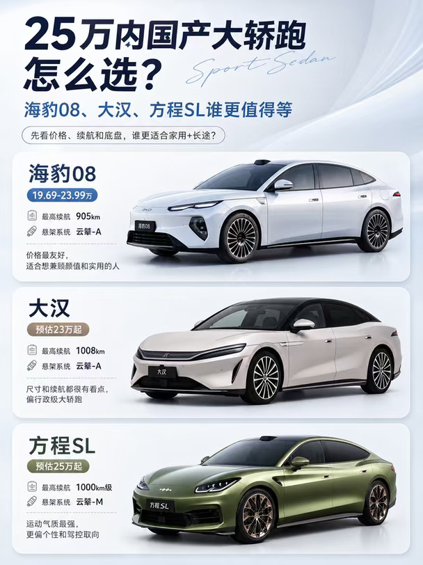 25万内国产大轿跑怎么选？海豹08、大汉、方程