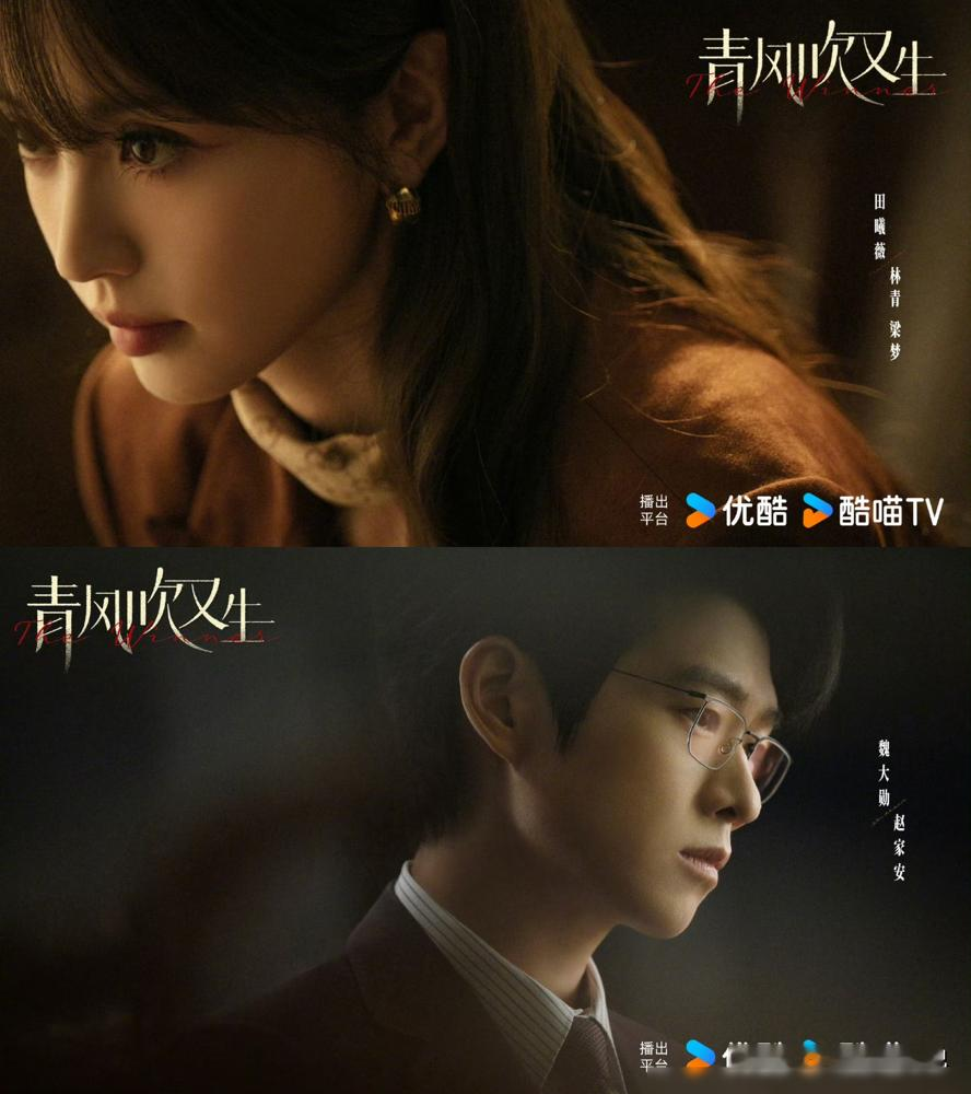 田曦薇这次真不演甜妹了。优酷官宣《青风吹又生》，她一人分饰两角，小镇数学系学霸，卷进豪门身份错位，跟魏大勋演的异姓长子正面掰手腕。原著叫《赢家》，讲的就是权力棋局里的强强博弈，不撒糖，不悬浮。
魏大勋这回彻底丢了综艺感，剧照里一身克制精英范儿，城府全压在眼尾。网友说这俩凑一起，就是成年人的势均力敌