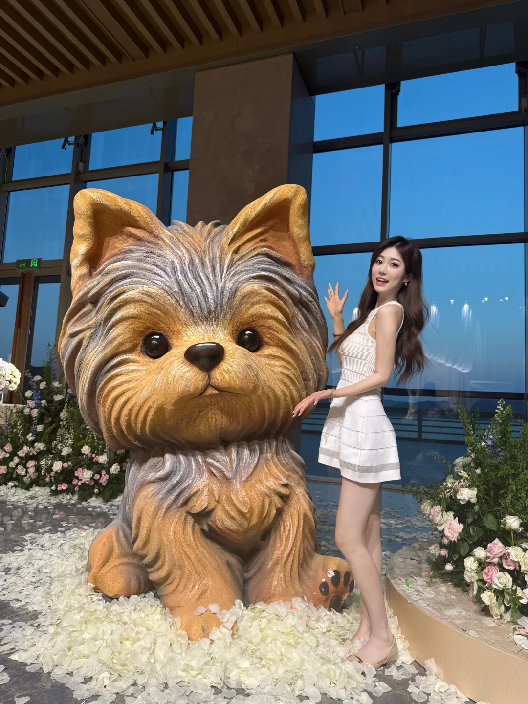 是小狗66诶