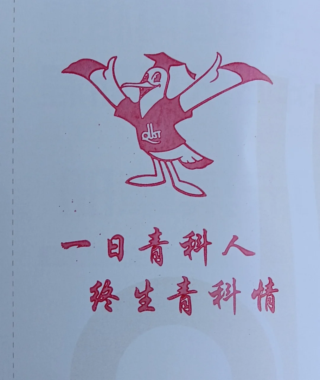 我一点也不想念青岛科技大学