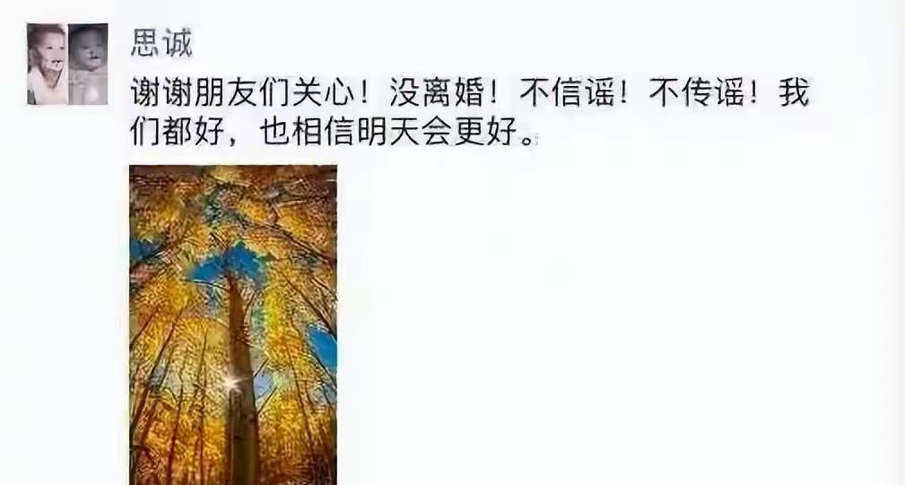 佟丽娅在鲁豫访谈里亲口把背了五年的家暴黑锅掀了，她说“思诚没有家暴，大家都说他打我，没有”，就这一句。当年全网骂她懦弱不敢离，其实她比谁都清醒。2017年陈思诚夜会风波爆出来，她发朋友圈“重新开始！丫丫加油”，配图是抱着朵朵的照片。陈思诚紧跟着也发朋友圈说没离婚。那会儿没人看懂，现在她才说清楚，分开
