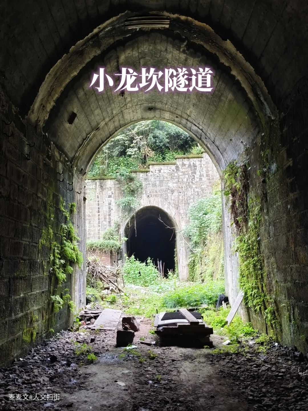 【沙坪坝】被遗弃的小龙坎隧道梦核感拉满