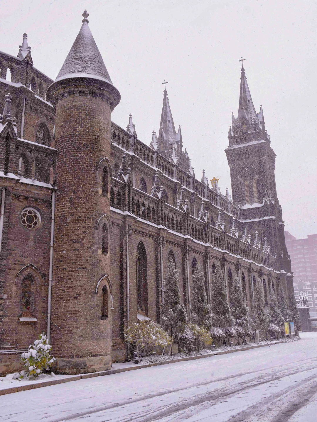 以为哈尔滨已经够美了，直到我去了沈阳……