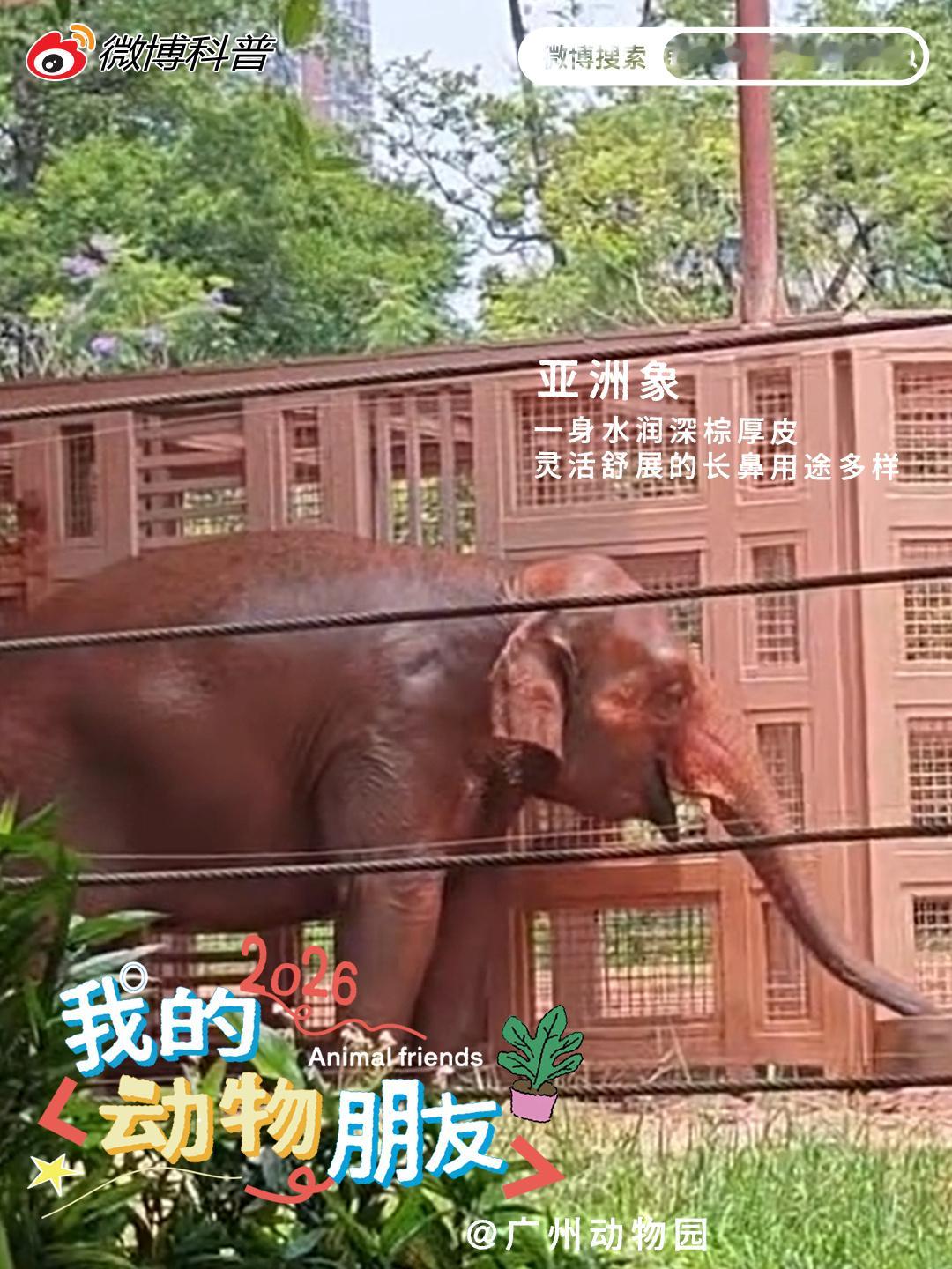 宝藏精选第五十七期 自然世界藏着数不尽的鲜活奇遇，园内消暑名场面、高原...