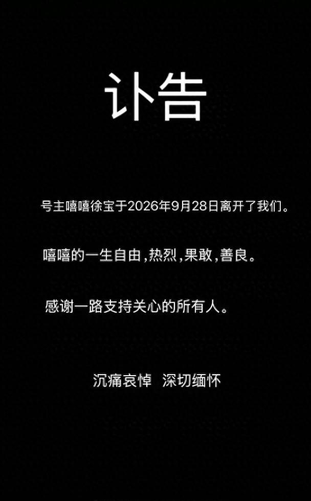 辽宁25岁博主&