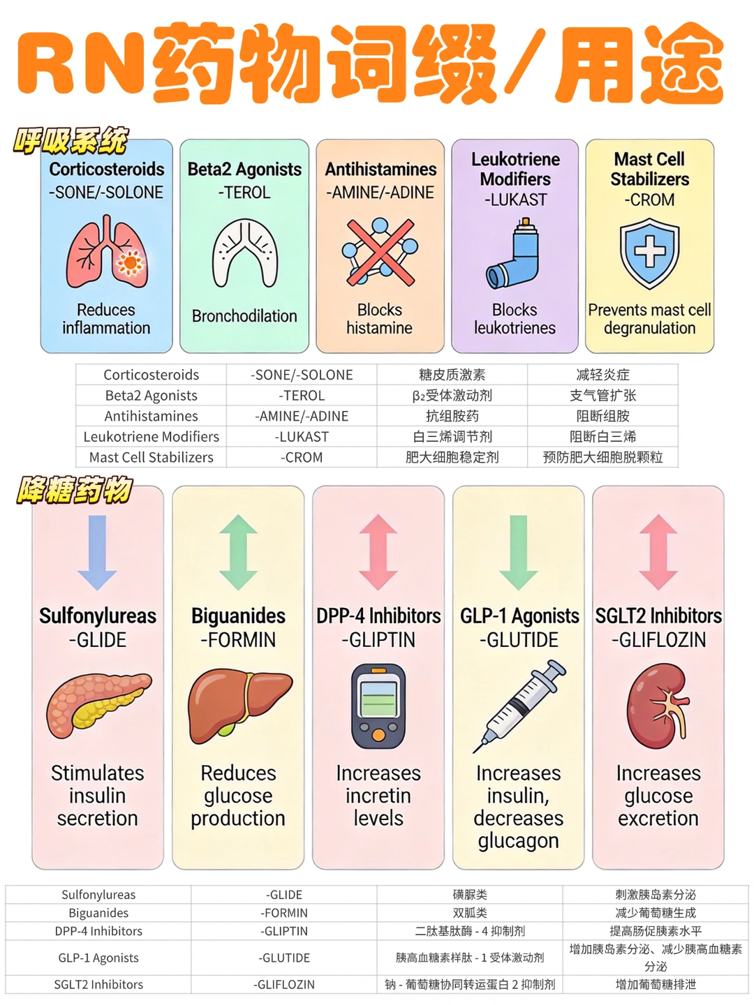 备考RN/药物词缀/用途！！学！！单词