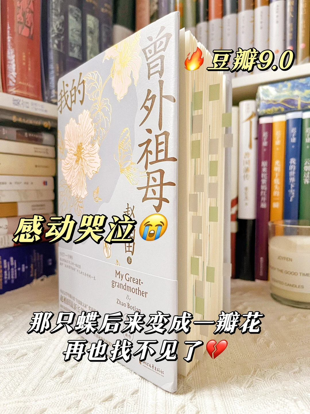 挖到宝了‼️这个故事看得让我忘记了睡觉👍🏻