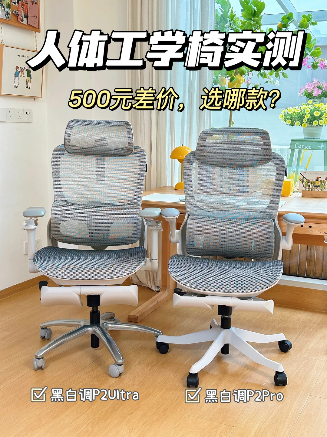 新手买人体工学椅，差价500选哪款？