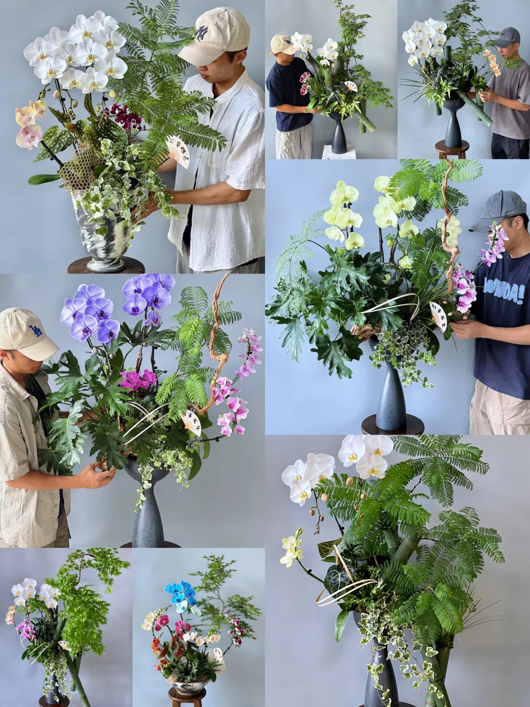 蝴蝶兰组盆培训课｜9月线下课
