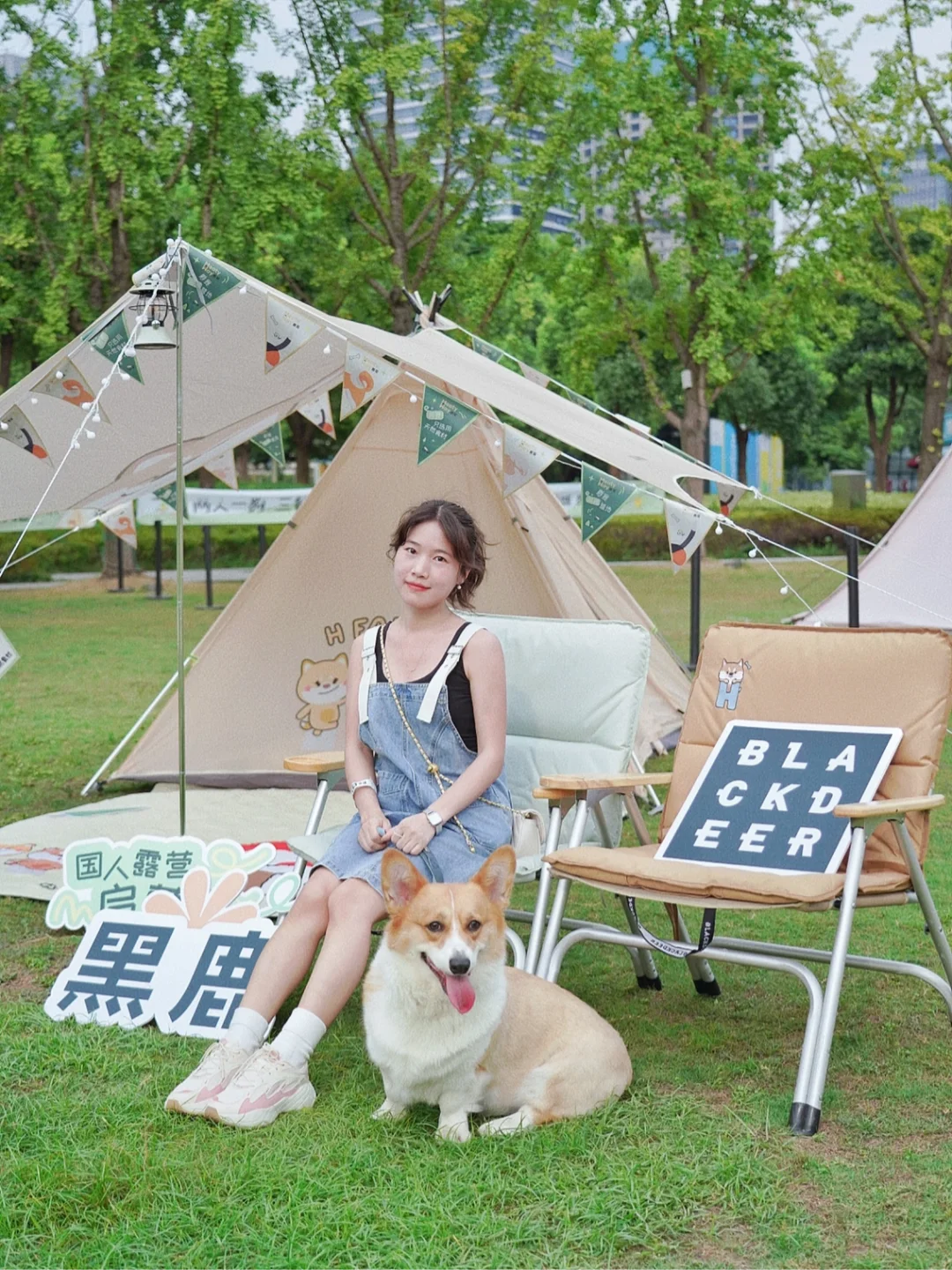 杭州免费市集｜夏日萌宠露营⛺️新体验❗️