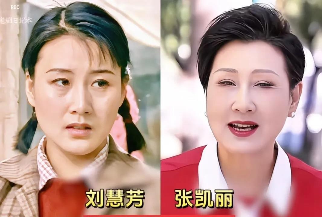 1990年《渴望》播出，张凯丽的刘慧芳、李雪健的宋大成、孙松的王沪生，让全国人一到点就守着电视机，邻里挤一屋看剧的盛况现在再也见不到了。那时候韩影的刘大妈、蓝天野的王子涛、黄梅莹的王亚茹，每个角色都像从生活里走出来的，收视率冲到过九成以上，公安部还给剧组颁过奖，因为播出期间犯罪率都降了。几十年过去，