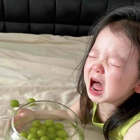 志霖论汽车