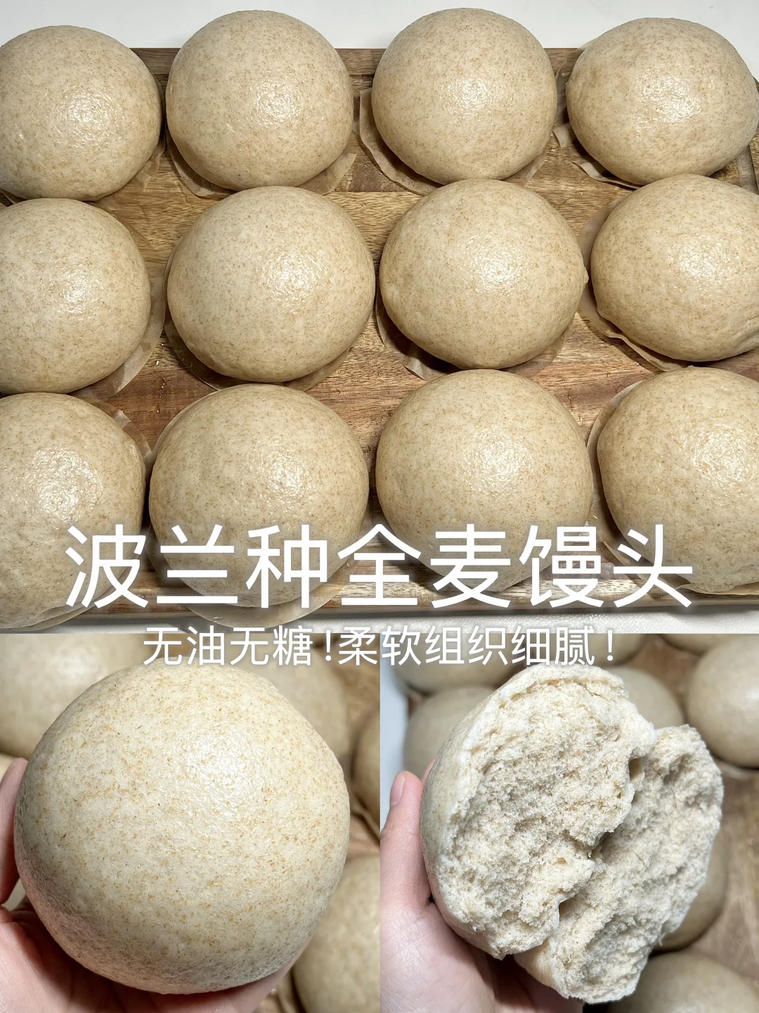 波兰种全麦馒头！柔软细腻！一次成功！不回缩