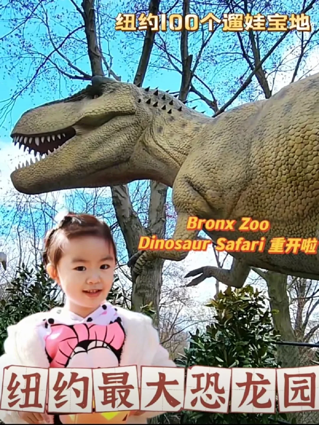 纽约最大恐龙展回归啦‼️会员续费8折