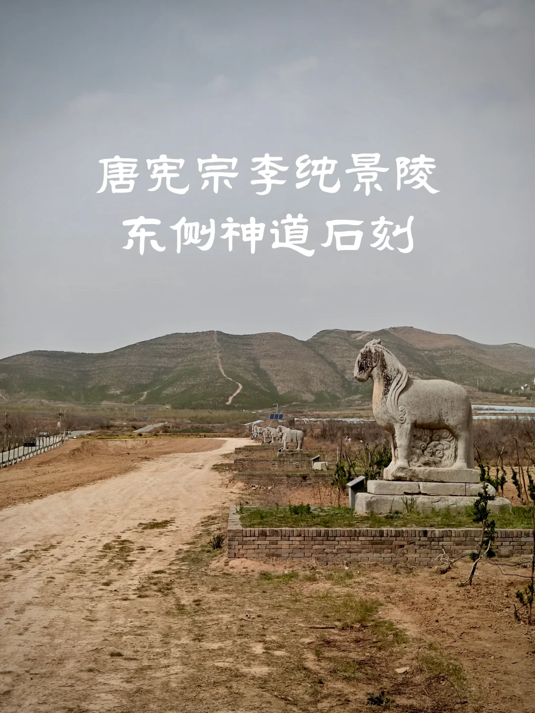 唐宪宗李纯景陵 南门东侧神道石刻