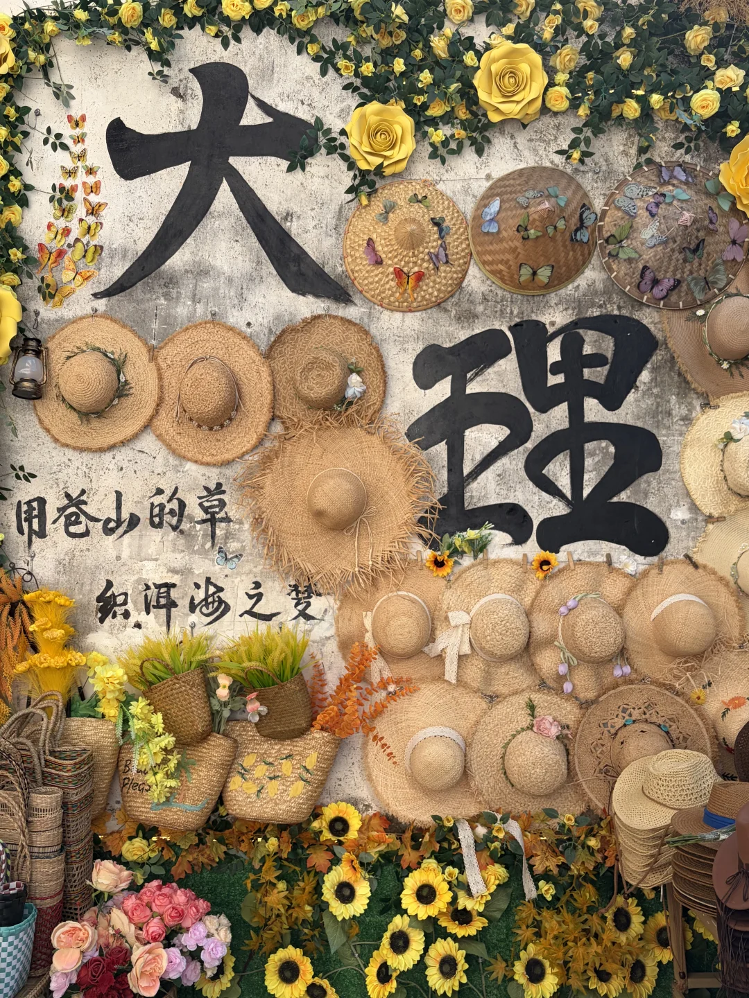 大四来大理旅居，我找到了喜欢的生活节奏