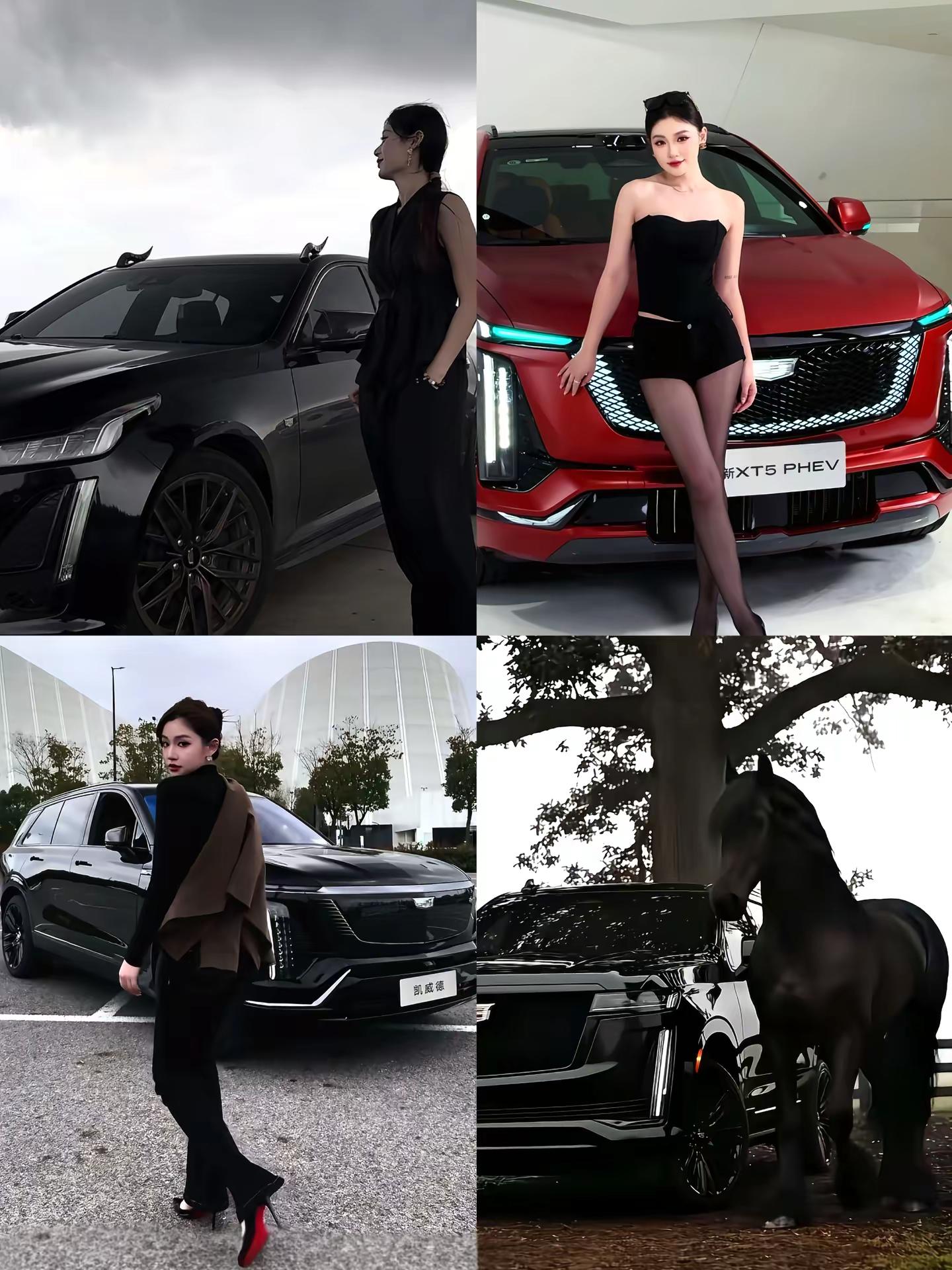 这四辆车，哪个是你的菜 凯迪拉克 ct5 xt5 凯雷德