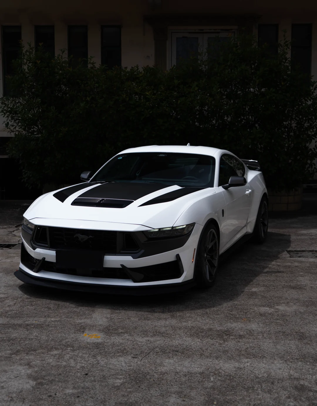 福特Mustang 5.0T