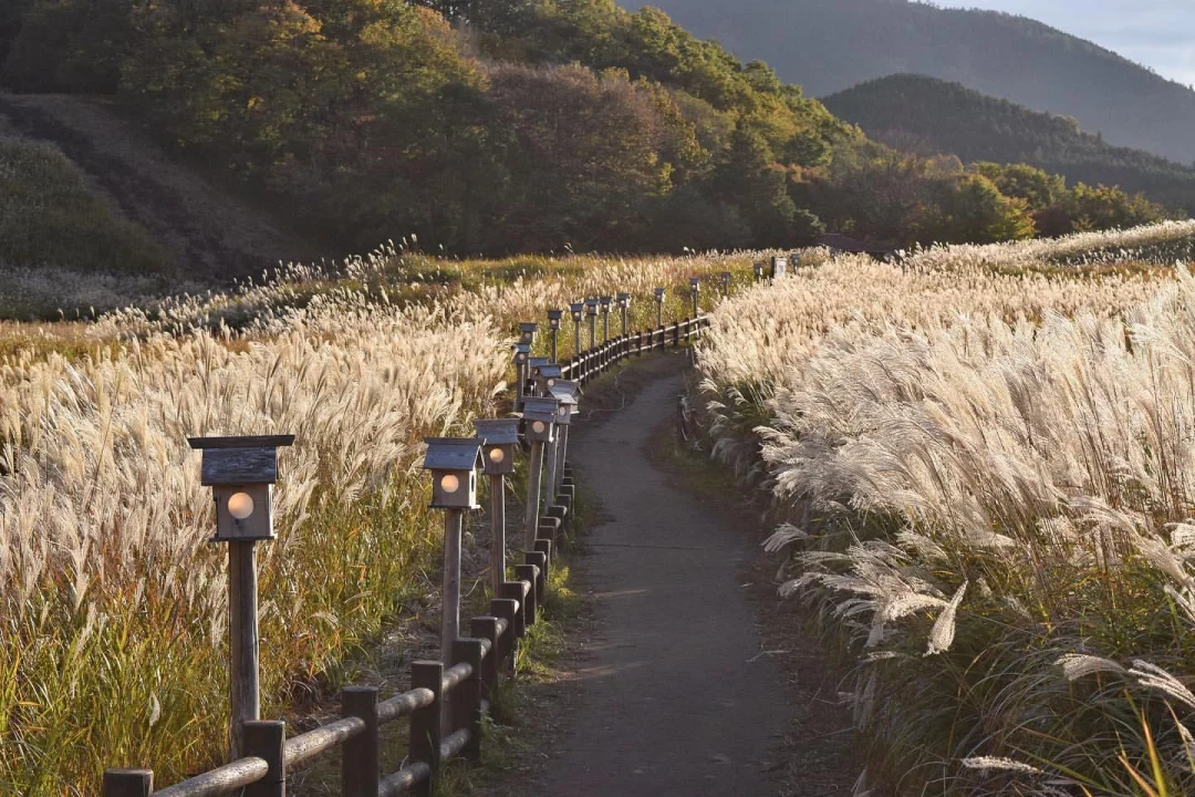 日本奈良县|一座让人神往的高原