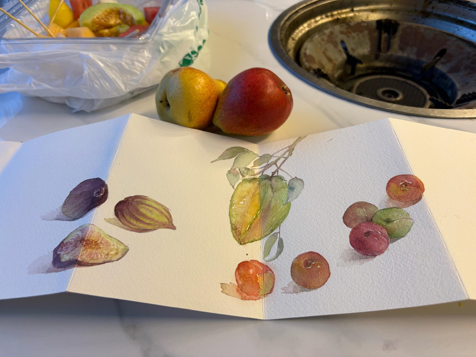 南方四五月间的水果真多呀！一边吃一边画。  水彩小樱桃🍒，接近心形...