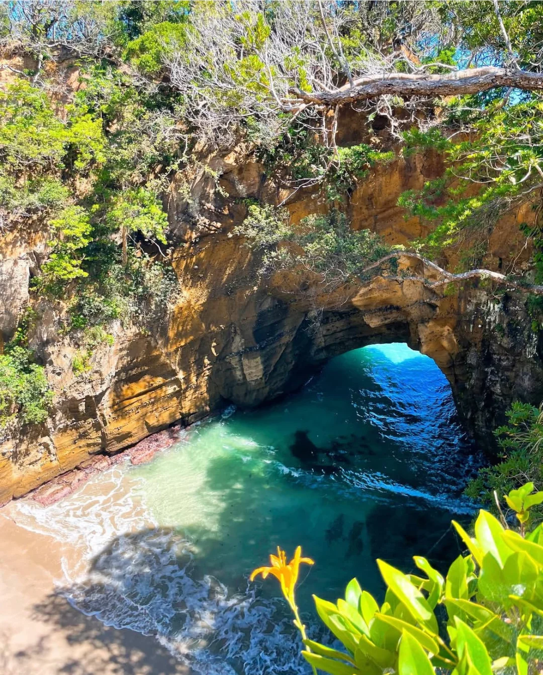 别再卷冲绳了！真正会玩的都悄悄去了伊豆