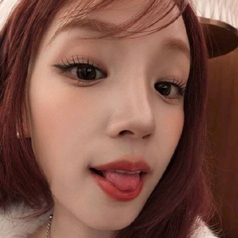 女明星的爱犬