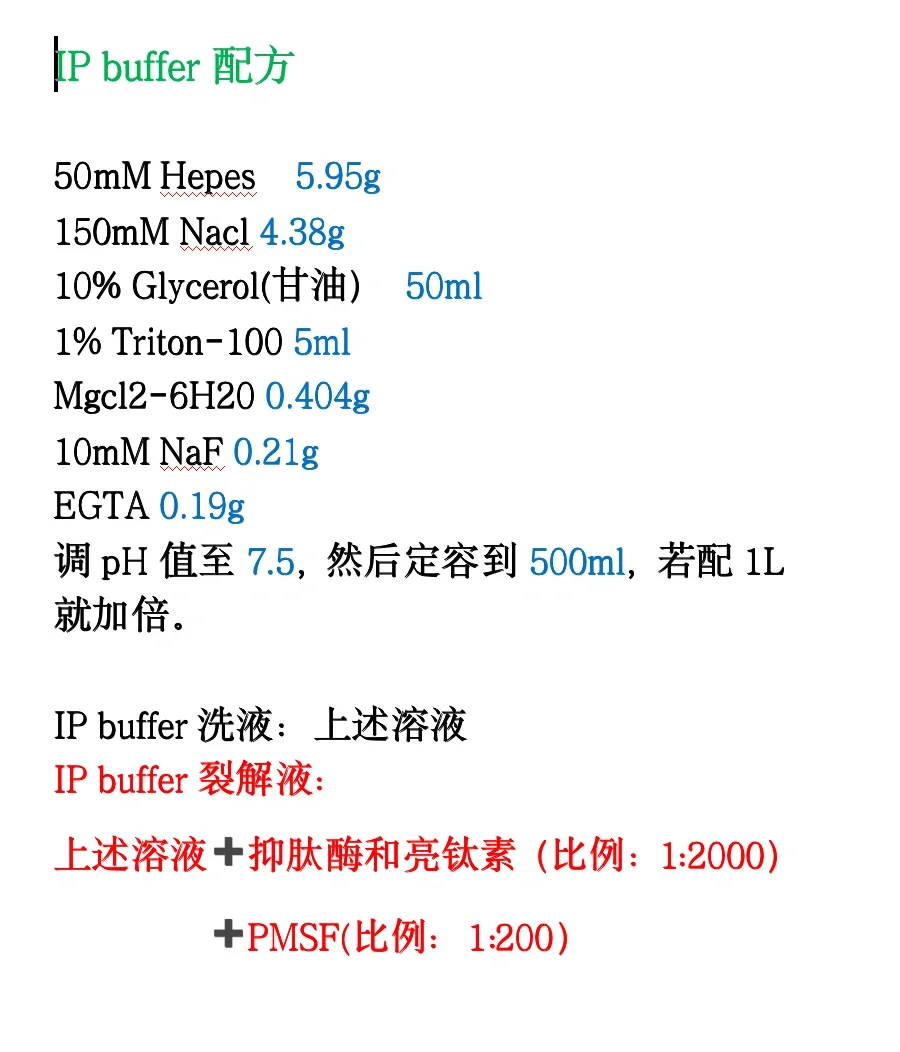 免疫共沉淀IP buffer配方