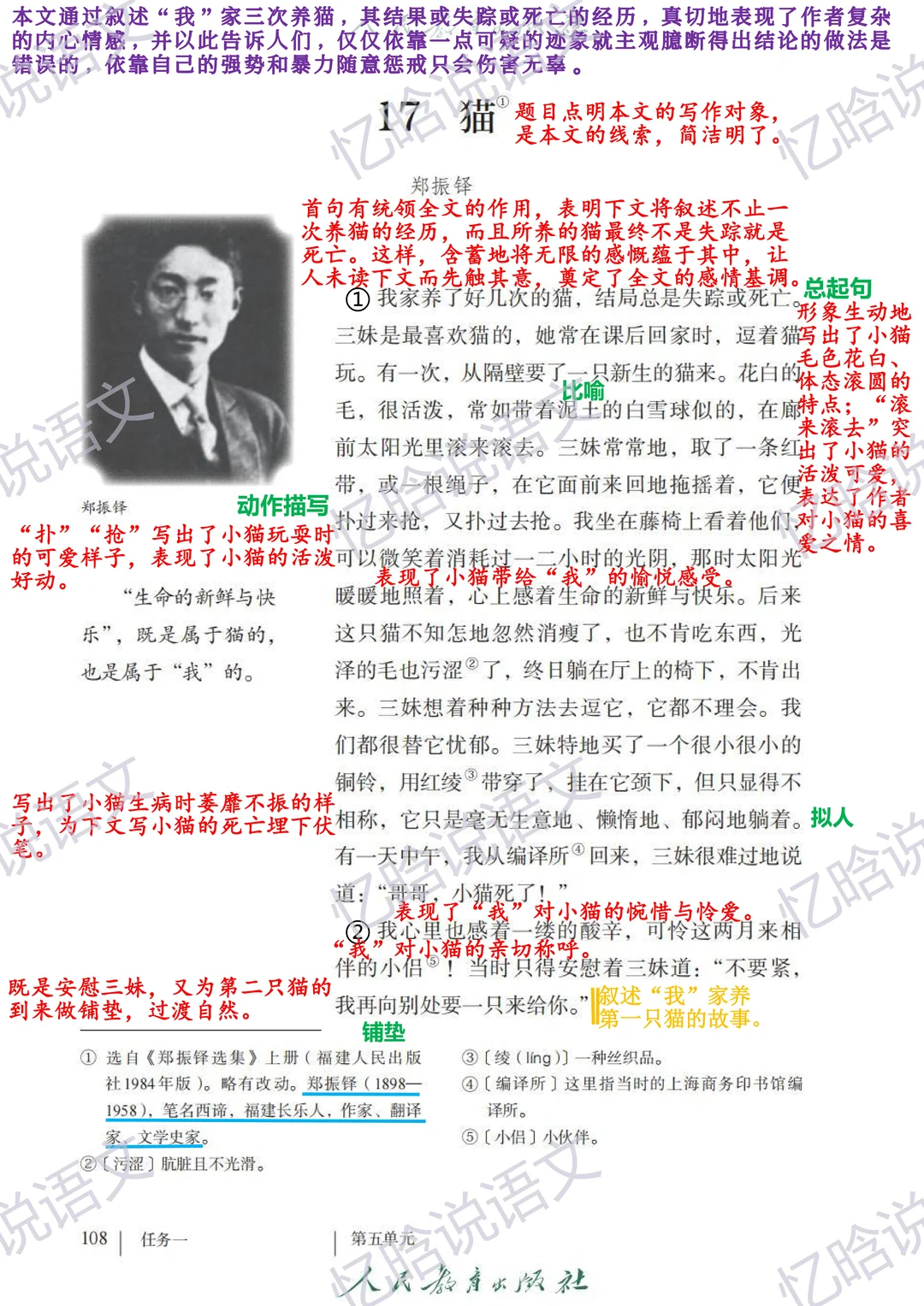 新课堂笔记｜2025七上第17课《猫》