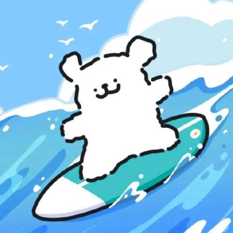 头号冲浪研究生