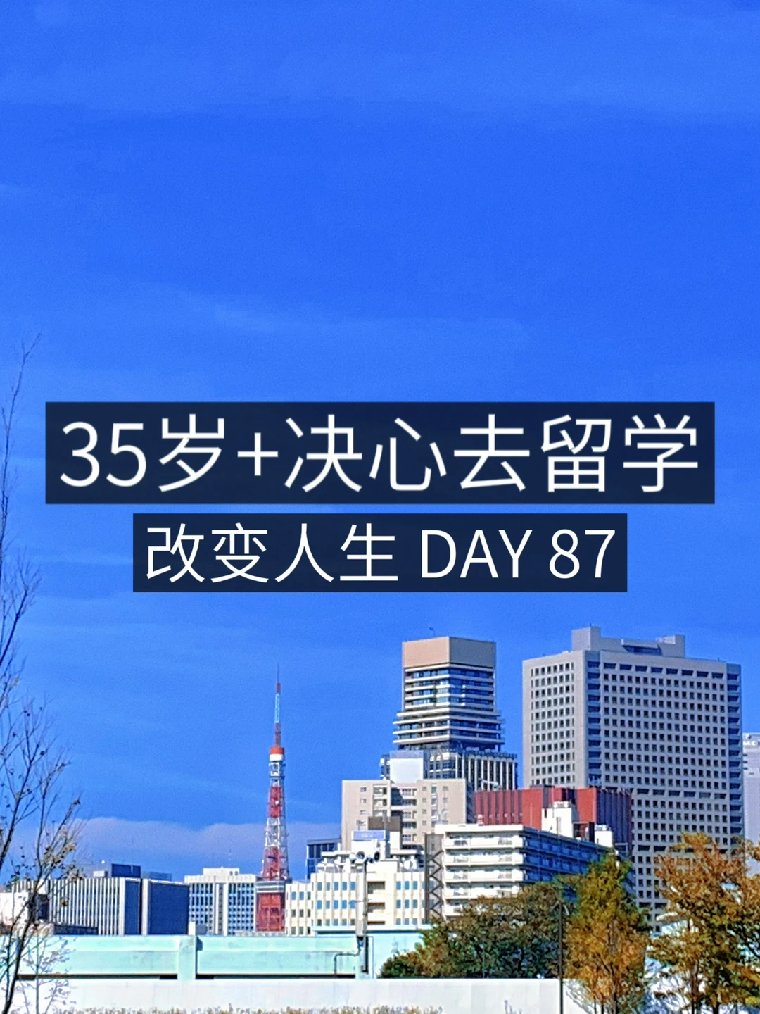 35岁+女青年留学✈️ 节后工作日心情😇