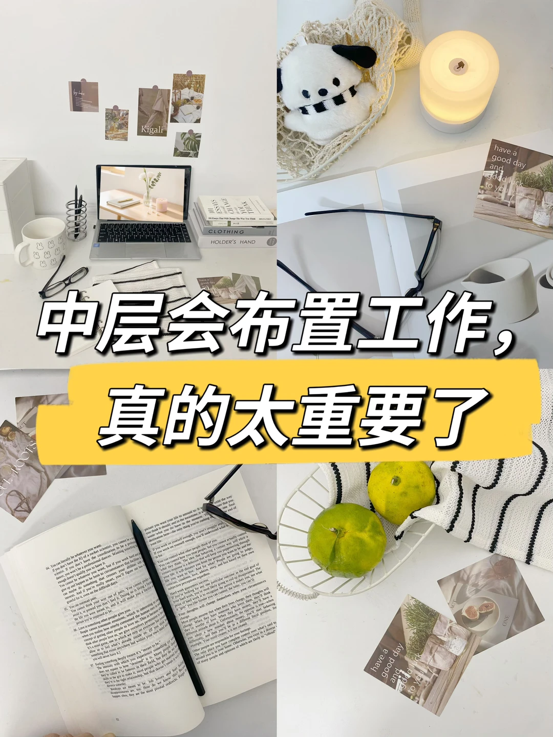 中层会布置工作，真的太重要了🔥