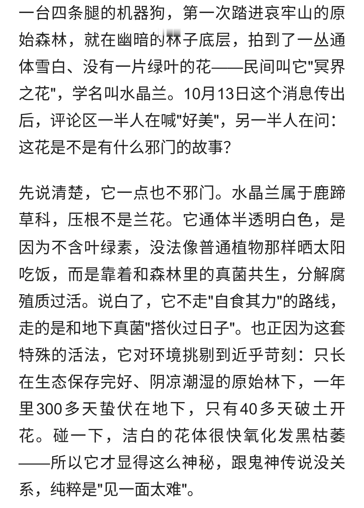 机器狗第一次进哀牢山，就撞见了传说中的&