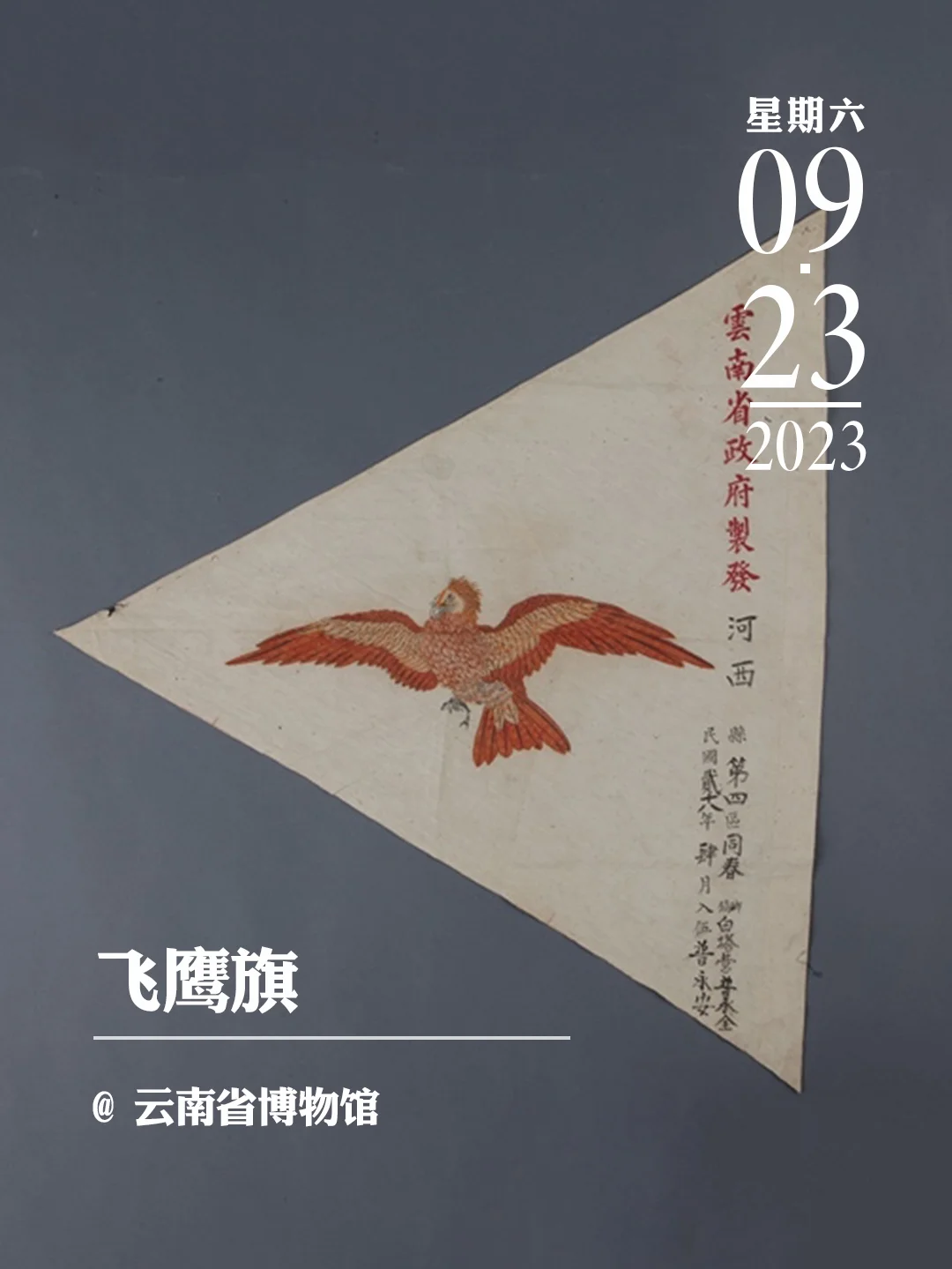 文物会说话|飞鹰旗