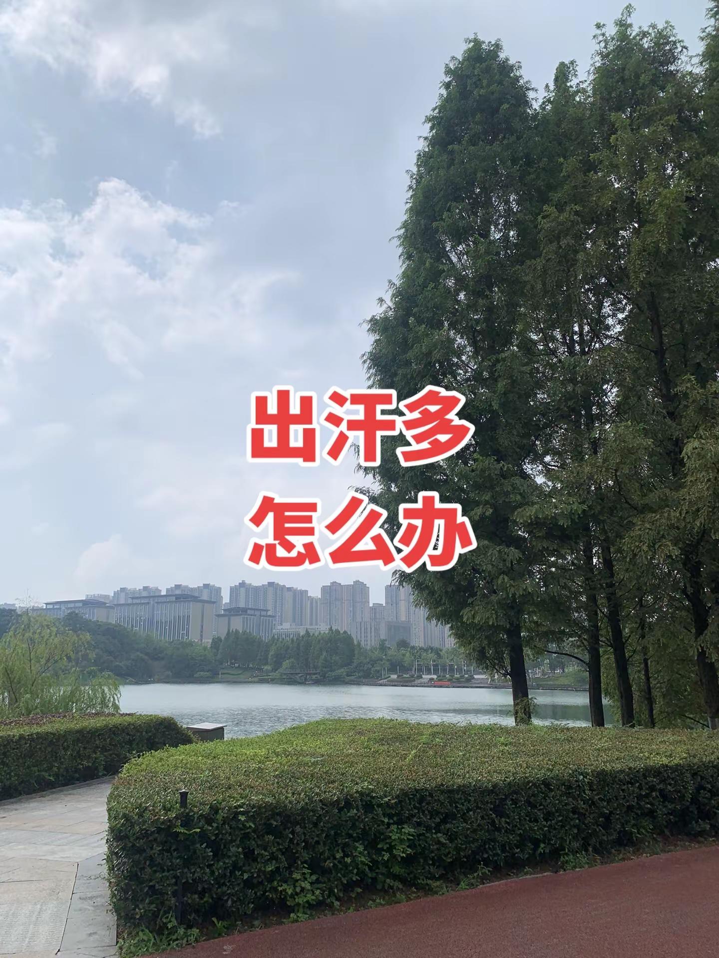 第二届