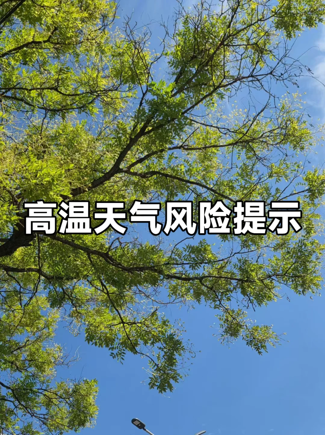 体制内：高温天气风险提示