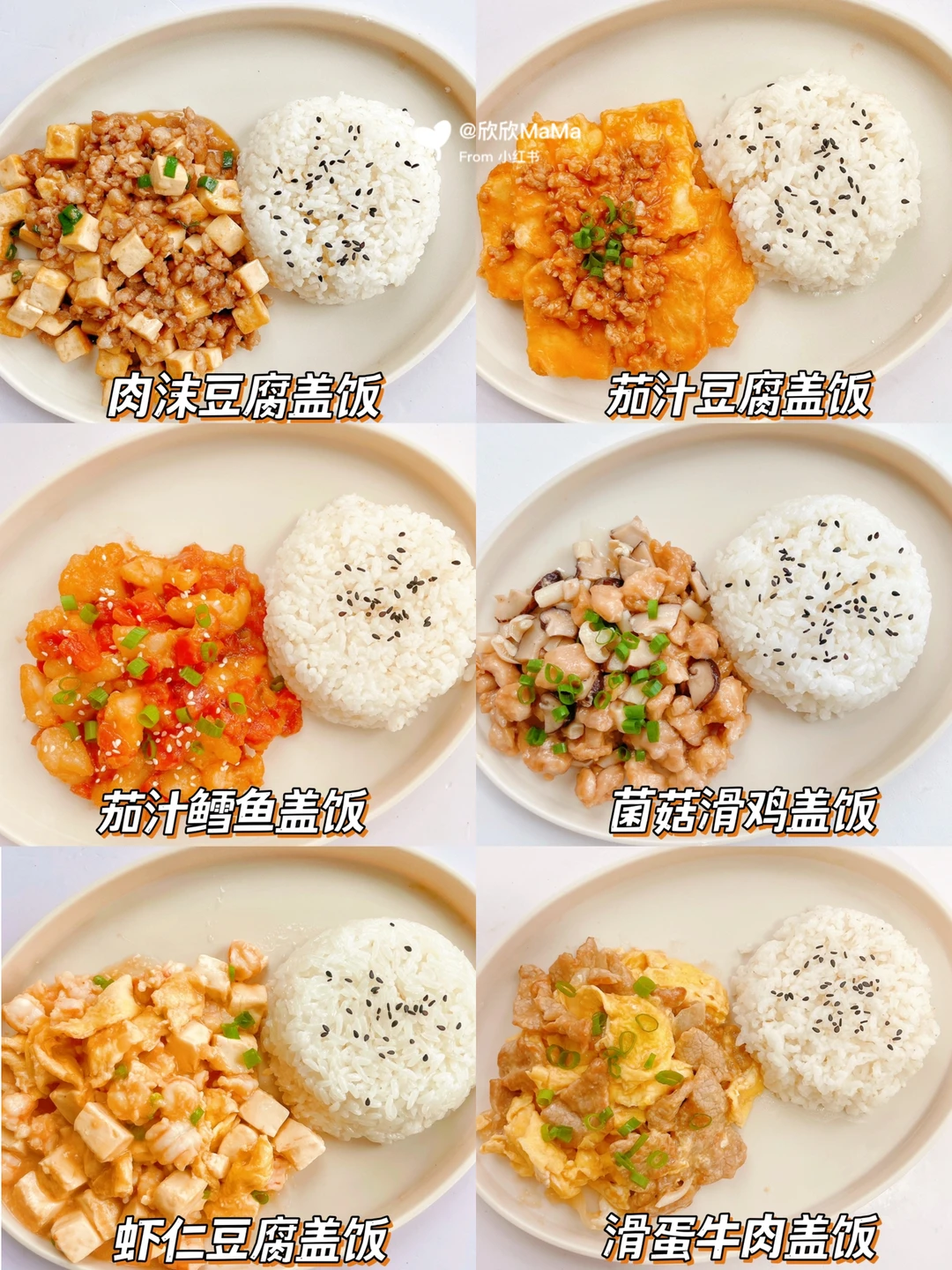 六款巨好吃的家常盖饭‼️荤素搭配营养均衡