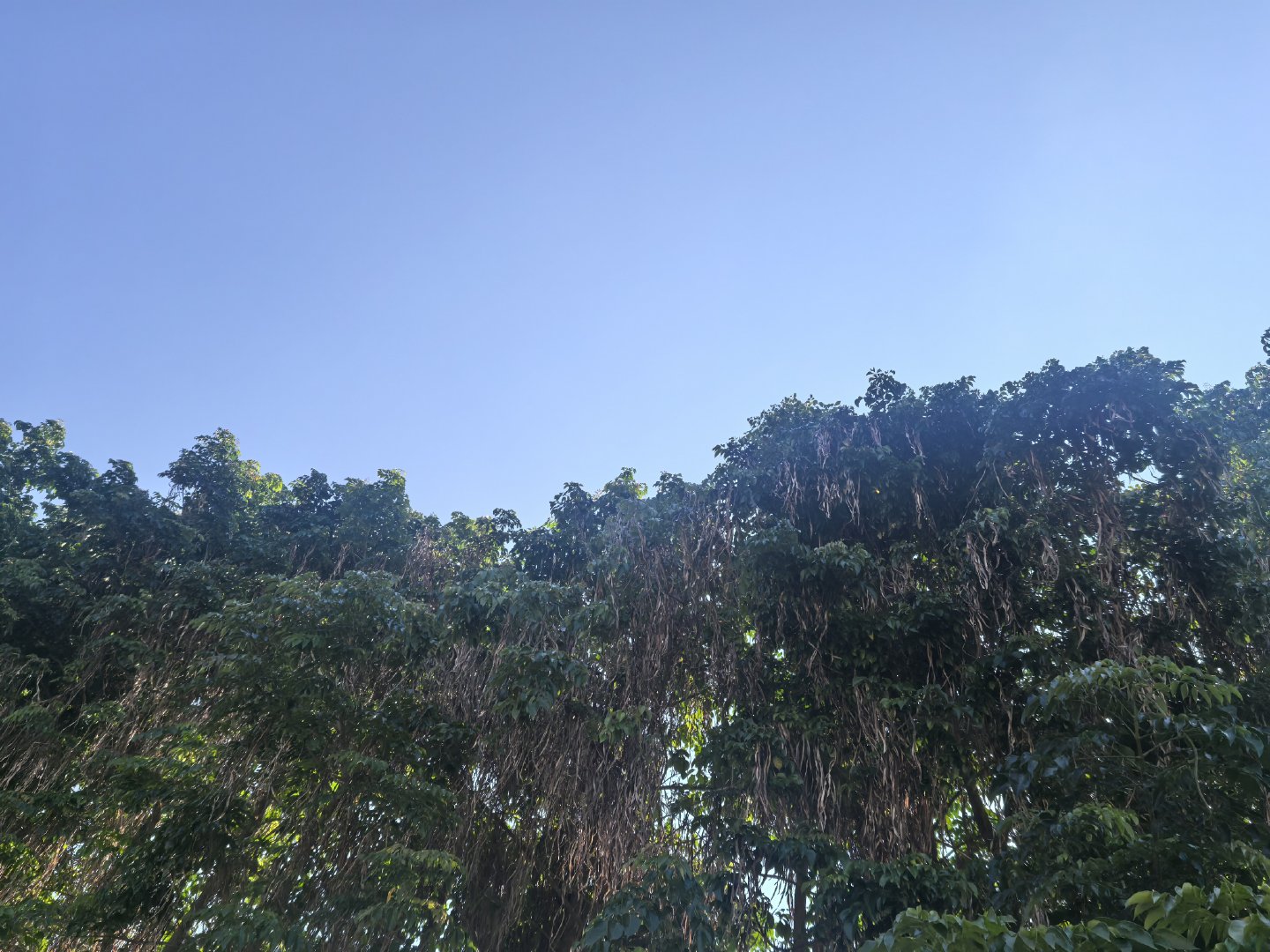 今天三午日，丙午年，甲午月，庚午日，午为火，火火火，三火为焱，然而火太...