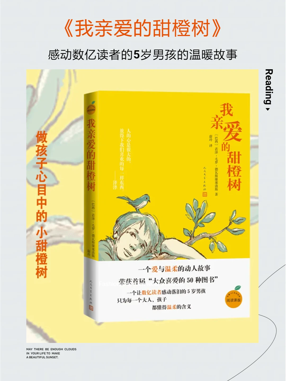 我亲爱的甜橙树｜感动数亿人的5岁男孩故事