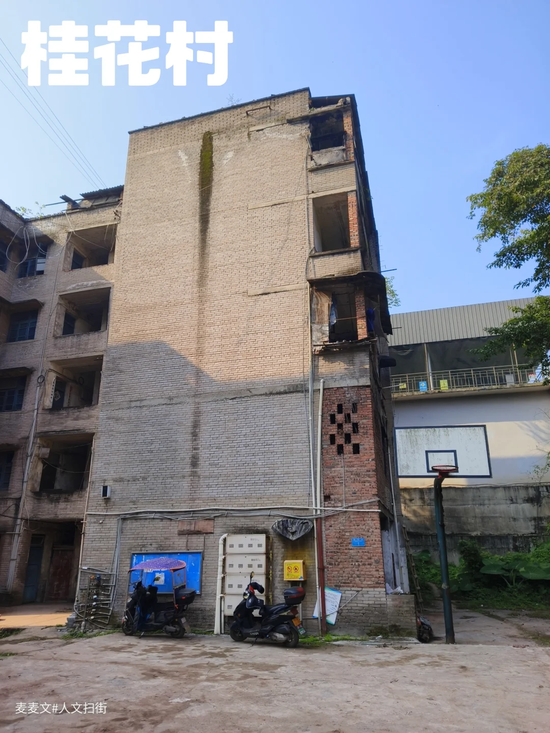 【长寿】水泥厂家属院藏着大厂时代的温柔
