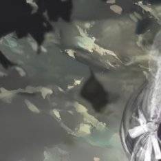 1. 死去元知万事空，但悲不见九州同。王师北定中原日，家祭无忘告乃翁。...