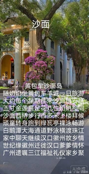 黄包车沙面岛<br />随奶奶坐黄包车羊城一日旅游<br />大约每个...